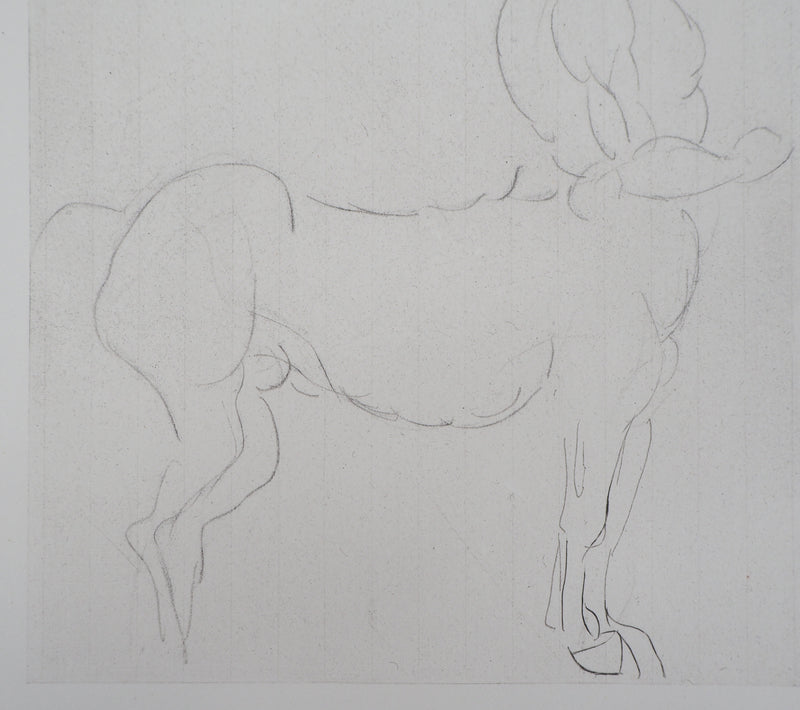 Auguste RODIN : Centaure - Héliogravure (détail)