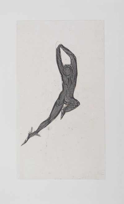 Auguste RODIN : Démon et ombre - Héliogravure (détail)