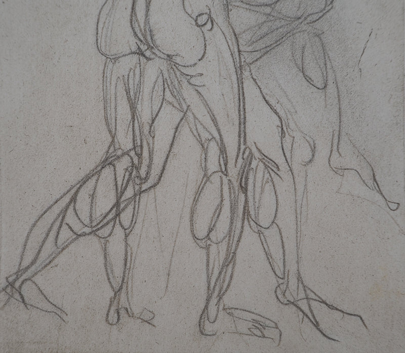 Auguste RODIN : Etude de la lutte - Héliogravure (détail)