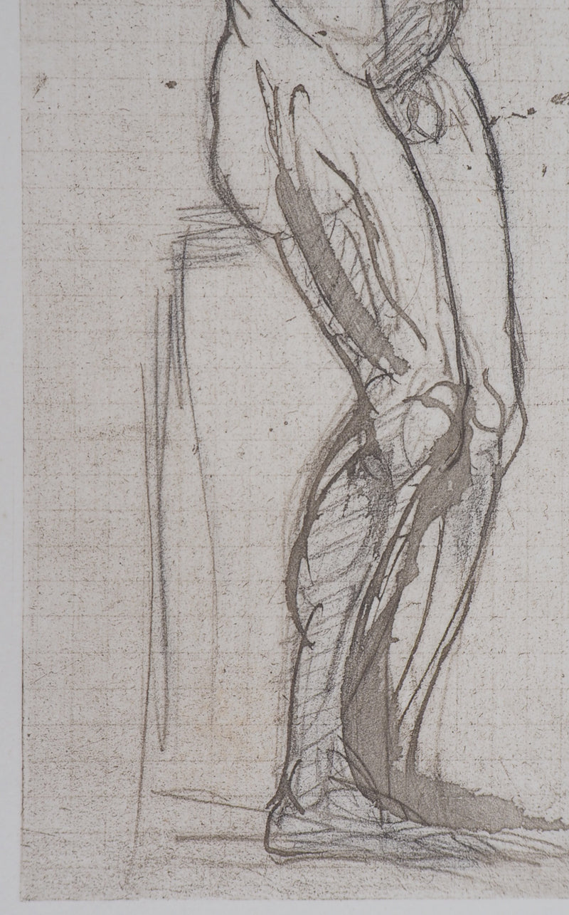 Auguste RODIN : Homme nu - Héliogravure (détail)