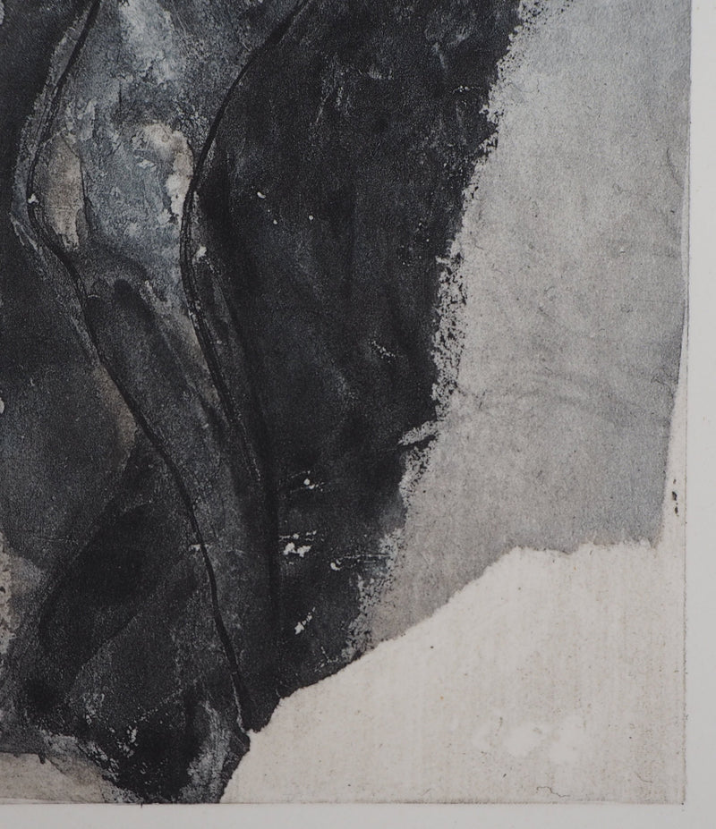 Auguste RODIN : Ombre - Héliogravure (détail)