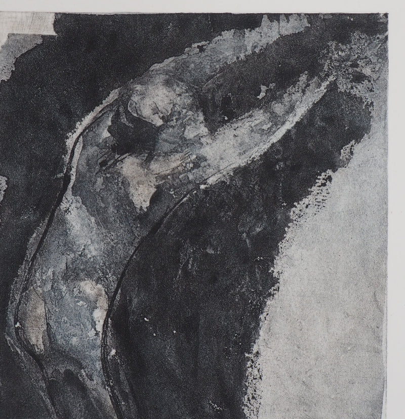 Auguste RODIN : Ombre - Héliogravure (détail)