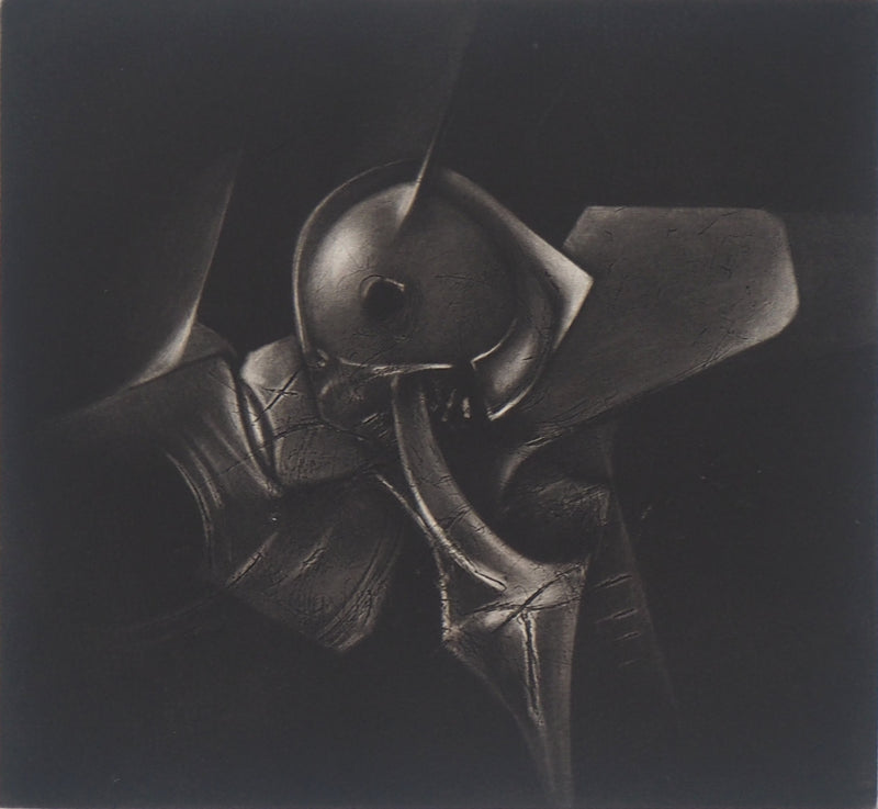 Michel RONCEREL : Fantasy en noir et blanc, 2005 - Gravure (détail)