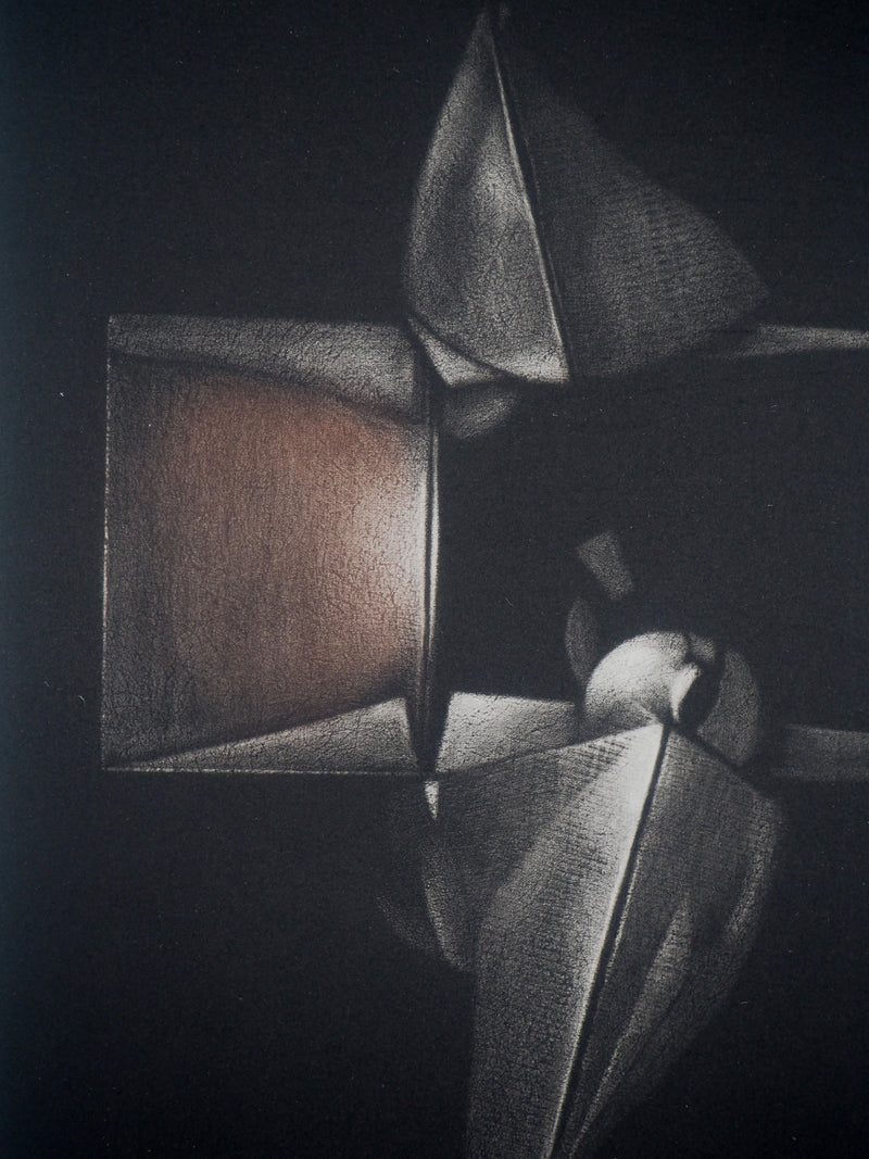 Michel RONCEREL : Pique de colère - Gravure (détail)