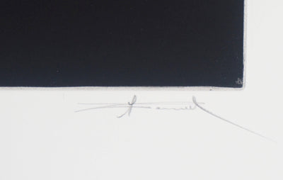 Michel RONCEREL : Pique de colère - Gravure (détail)