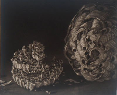 Judith ROTCHILD : Nids de Frelon, 2014 - Gravure