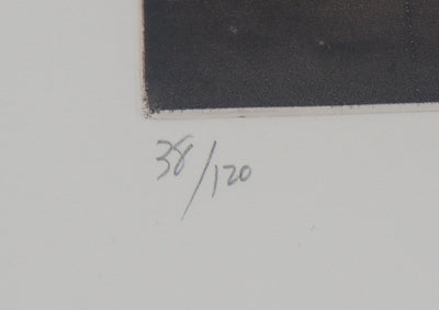Judith ROTCHILD : Nids de Frelon, 2014 - Gravure (détail)