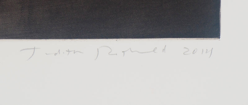 Judith ROTCHILD : Nids de Frelon, 2014 - Gravure (détail)