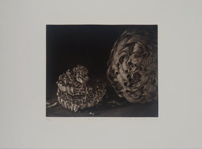Judith ROTCHILD : Nids de Frelon, 2014 - Gravure (détail)