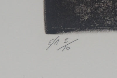 Jean David SABAN : Jardin d'été, 1995 - Gravure (détail)