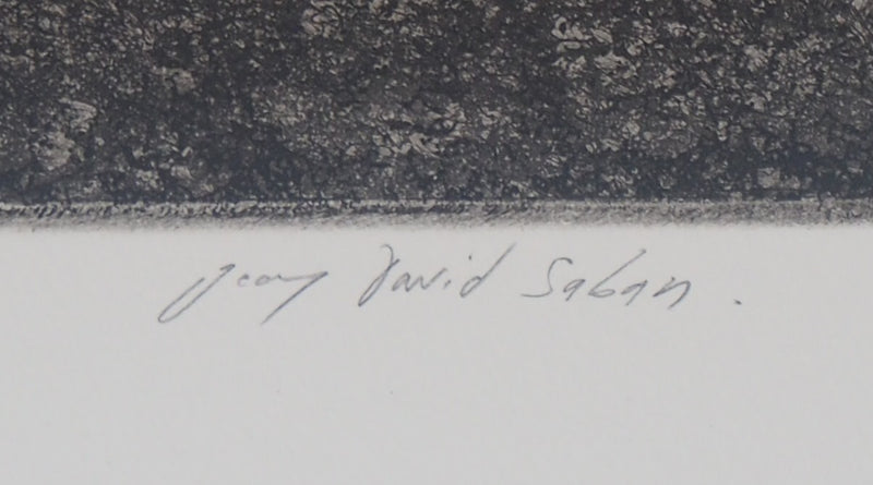 Jean David SABAN : Jardin d&