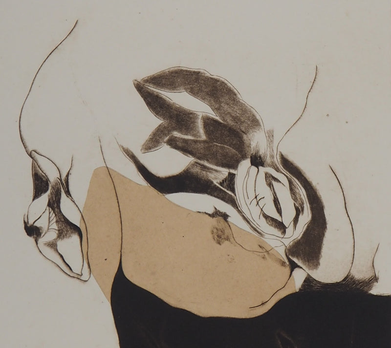 Nunik SAURET : Capparis spinosa, 1981 - Gravure (détail)