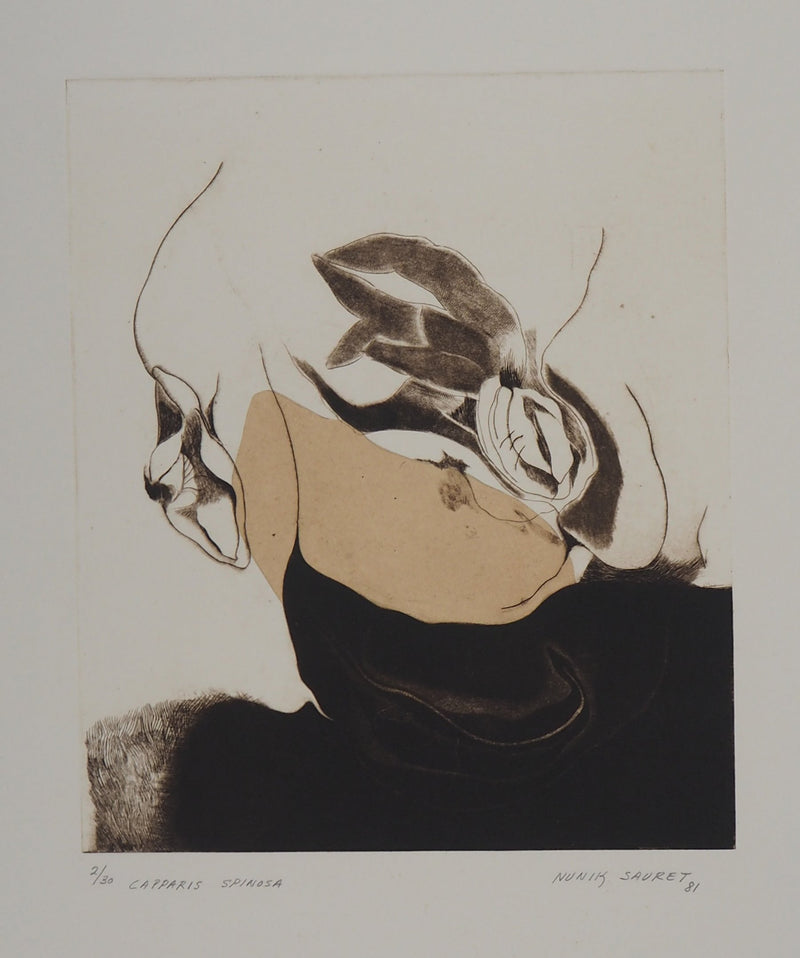 Nunik SAURET : Capparis spinosa, 1981 - Gravure (détail)