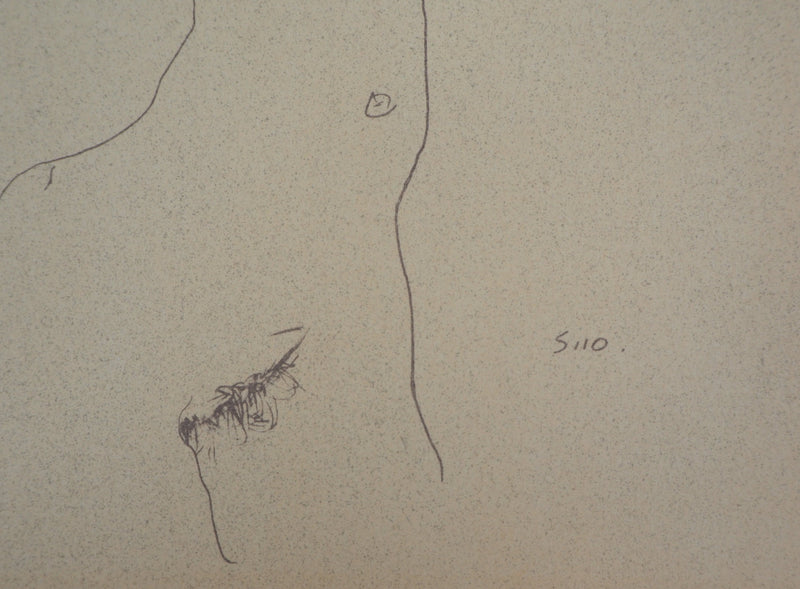 Egon SCHIELE : Nu s&