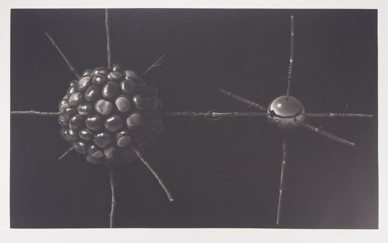 Guntars SIETINS : La châtaigne et la sphère, 2000 - Gravure