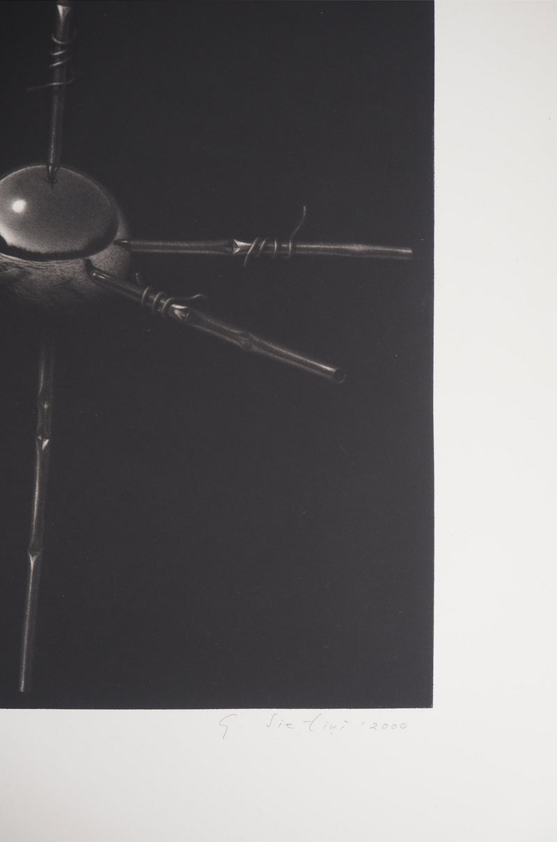 Guntars SIETINS : La châtaigne et la sphère, 2000 - Gravure (détail)