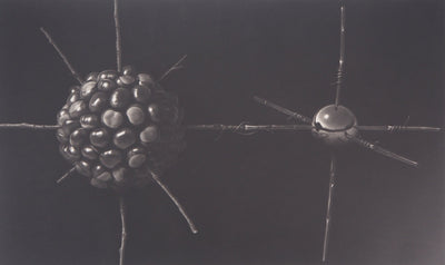 Guntars SIETINS : La châtaigne et la sphère, 2000 - Gravure (détail)