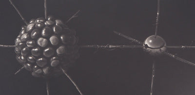 Guntars SIETINS : La châtaigne et la sphère, 2000 - Gravure (détail)