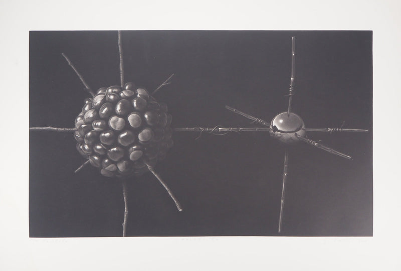 Guntars SIETINS : La châtaigne et la sphère, 2000 - Gravure (détail)