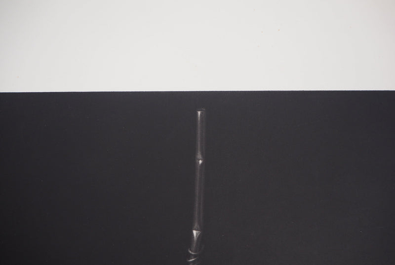 Guntars SIETINS : La châtaigne et la sphère, 2000 - Gravure (détail)