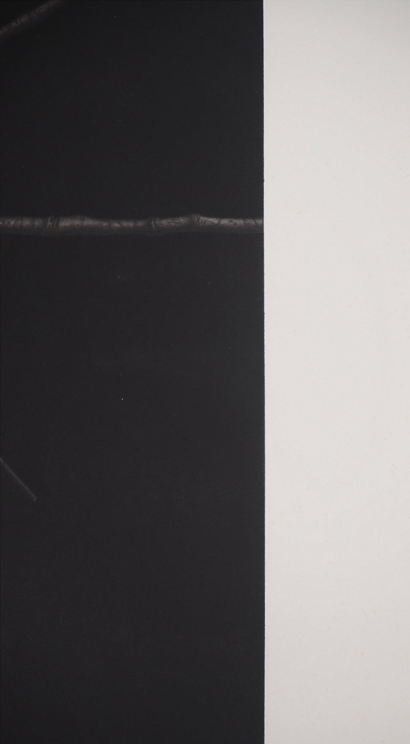 Guntars SIETINS : La châtaigne et la sphère, 2000 - Gravure (détail)