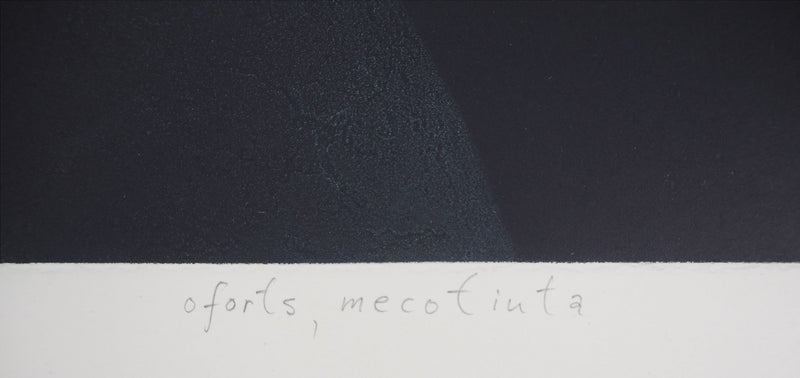 Guntars SIETINS : Levitation X - Gravure (détail)