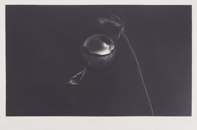 Guntars SIETINS : Lévitation IV, 1996 - Gravure