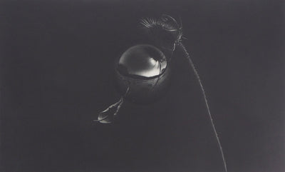 Guntars SIETINS : Lévitation IV, 1996 - Gravure (détail)