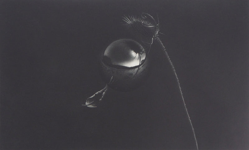 Guntars SIETINS : Lévitation IV, 1996 - Gravure (détail)