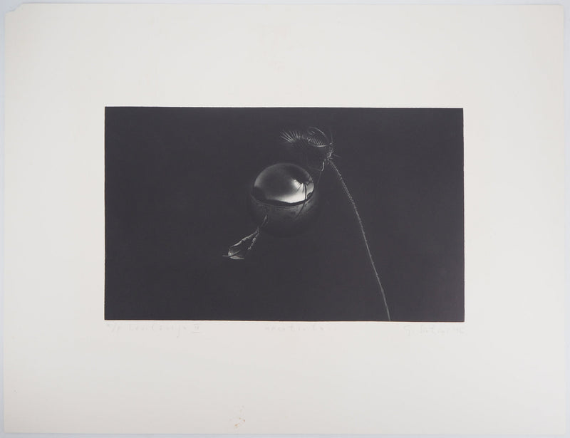Guntars SIETINS : Lévitation IV, 1996 - Gravure (détail)