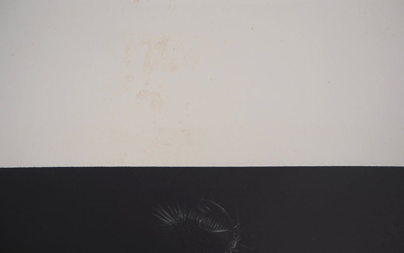 Guntars SIETINS : Lévitation IV, 1996 - Gravure (détail)