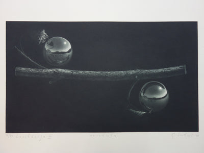 Guntars SIETINS : Levitation - Gravure