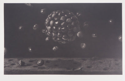 Guntars SIETINS : Planète châtaigne, 2002 - Gravure