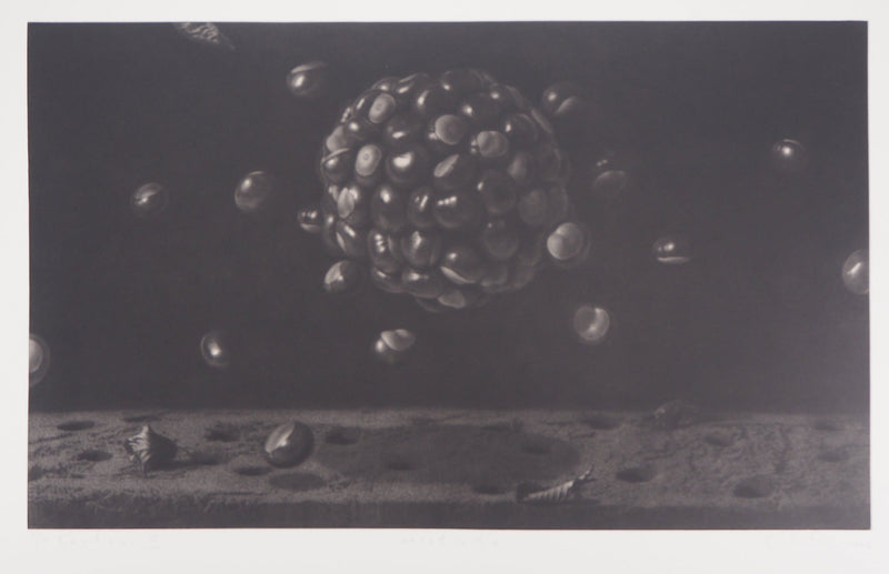 Guntars SIETINS : Planète châtaigne, 2002 - Gravure