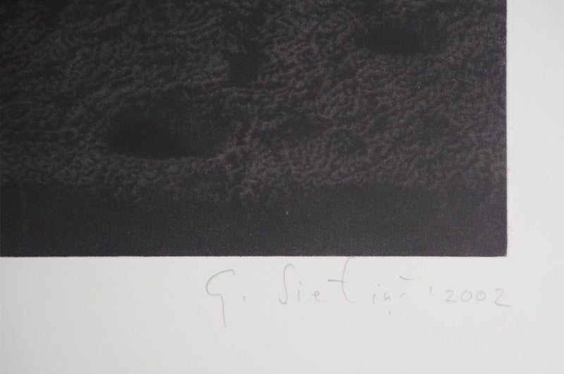 Guntars SIETINS : Planète châtaigne, 2002 - Gravure (détail)