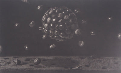 Guntars SIETINS : Planète châtaigne, 2002 - Gravure (détail)