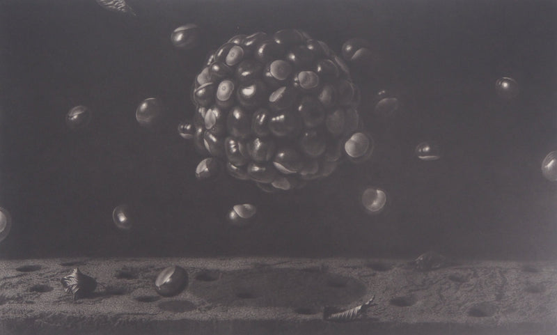 Guntars SIETINS : Planète châtaigne, 2002 - Gravure (détail)