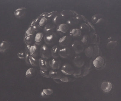 Guntars SIETINS : Planète châtaigne, 2002 - Gravure (détail)