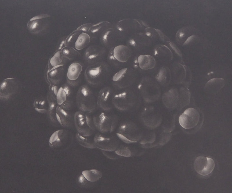 Guntars SIETINS : Planète châtaigne, 2002 - Gravure (détail)