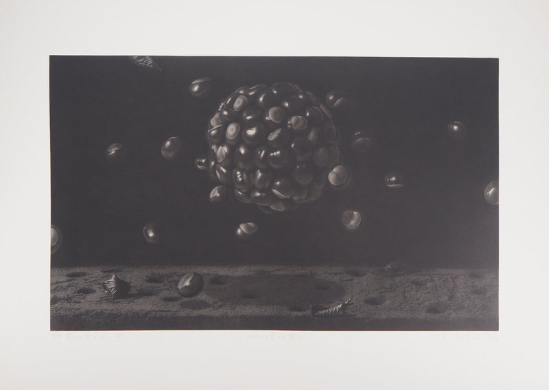 Guntars SIETINS : Planète châtaigne, 2002 - Gravure (détail)