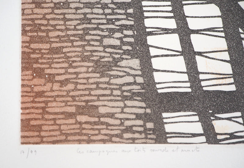 Jean SOLOMBRE : Les campagnes aux toits sourds et muets, 1981 - Gravure (détail)