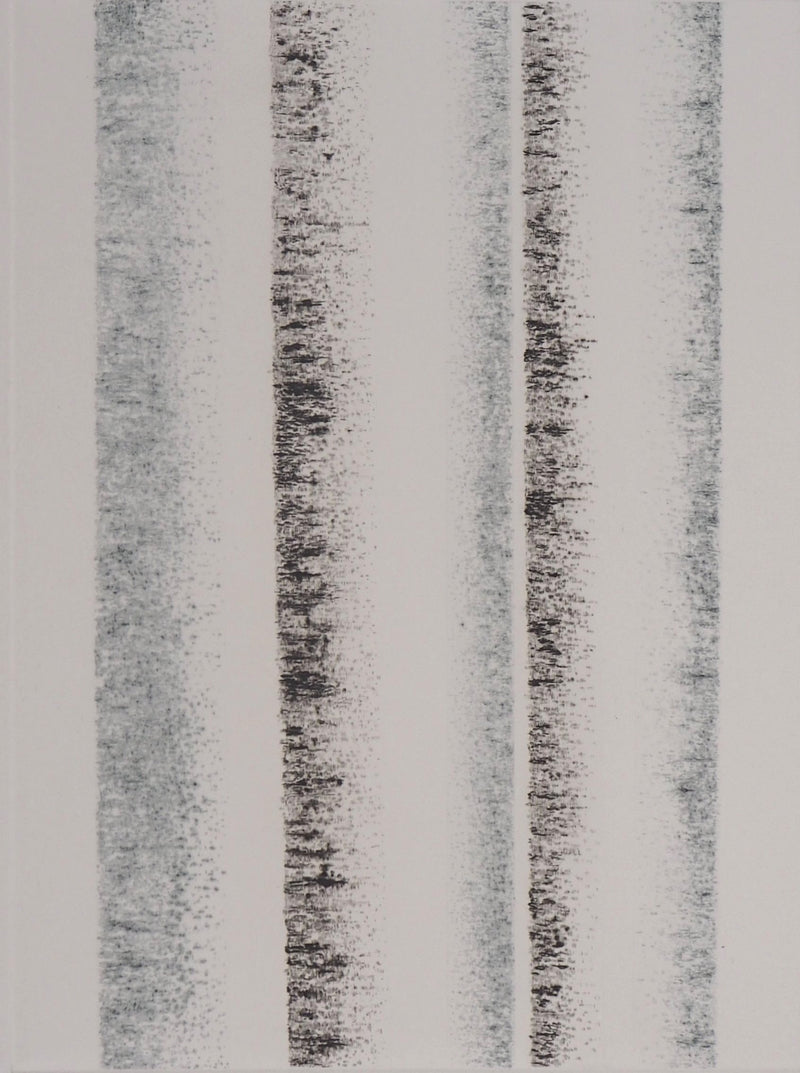 Jean SOLOMBRE : Les couverts du long voyage, 1981 - Gravure (détail)
