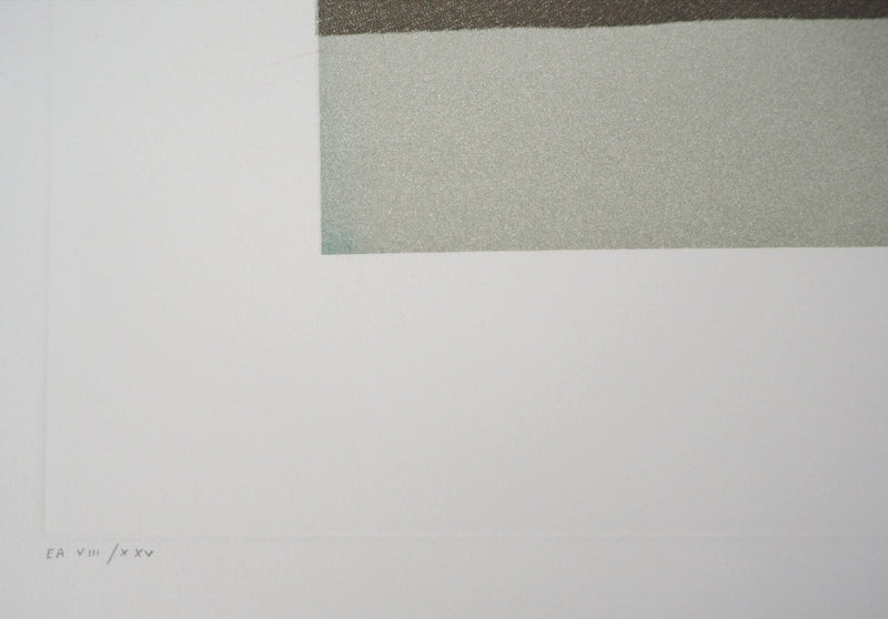 Jean SOLOMBRE : Paysage onirique - Gravure (détail)