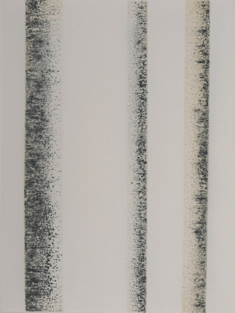Jean SOLOMBRE : Troncs de bouleaux, 1981 - Gravure (détail)