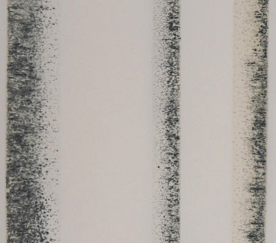 Jean SOLOMBRE : Troncs de bouleaux, 1981 - Gravure (détail)