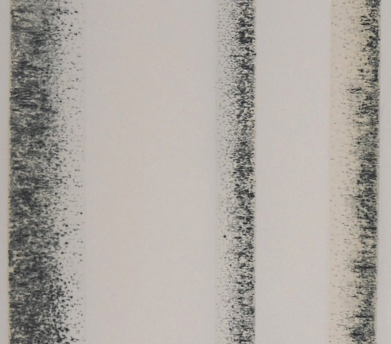 Jean SOLOMBRE : Troncs de bouleaux, 1981 - Gravure (détail)