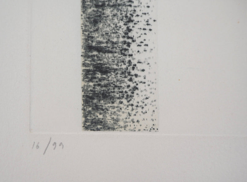 Jean SOLOMBRE : Troncs de bouleaux, 1981 - Gravure (détail)