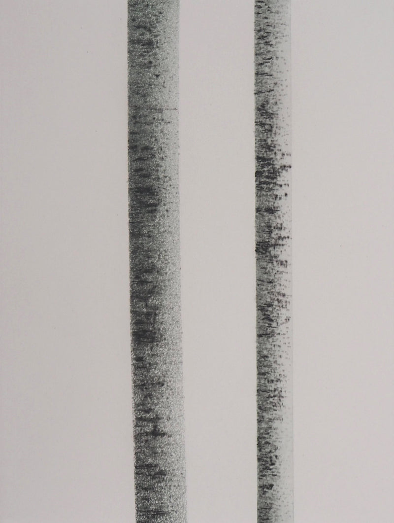 Jean SOLOMBRE : Troncs de bouleaux à deux, 1981 - Gravure (détail)