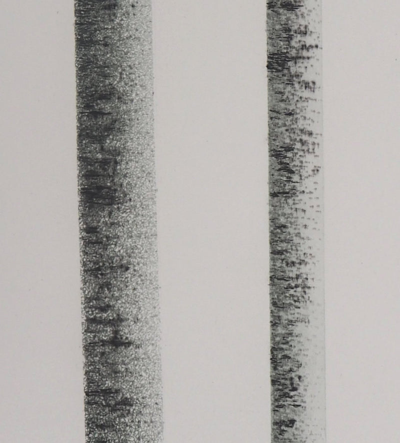 Jean SOLOMBRE : Troncs de bouleaux à deux, 1981 - Gravure (détail)