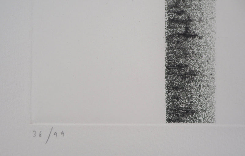 Jean SOLOMBRE : Troncs de bouleaux à deux, 1981 - Gravure (détail)